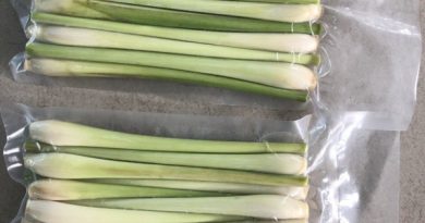 Nhà cung cấp rau củ quả Đồng Nai