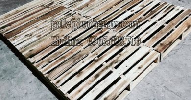 pallet Long An giá rẻ