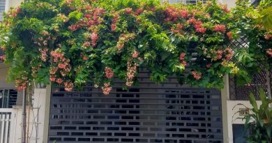 Cửa cuốn Bình Dương