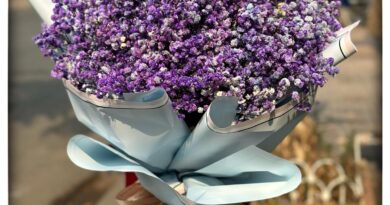 cửa hàng hoa bình dương