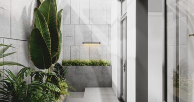 thiết kế kiến trúc nhà phố tại Vũng Tàu