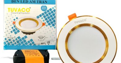 Bóng đèn led âm trần