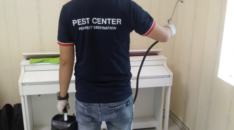 diệt mối quận 9