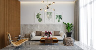 thiết kế thi công nội thất Vũng Tàu