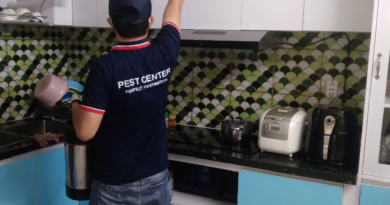 diệt mối quận 10