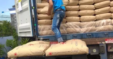 bốc xếp hàng hóa container ở TPHCM