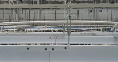 mẫu la phông nhựa công nghiệp