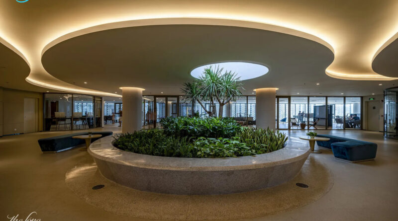 thesongreal.com vung tàu