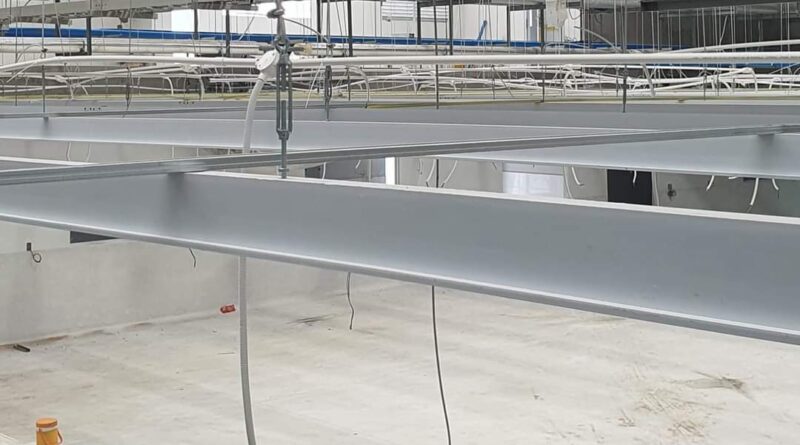 Giá tấm trần nhựa PVC