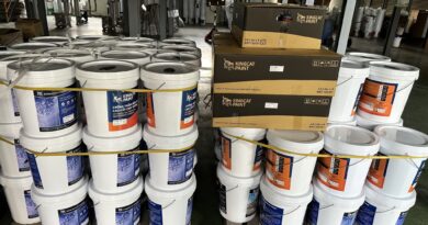 keo vá vết nứt tường