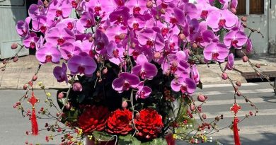 giỏ hoa 8 3 đẹp