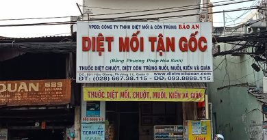 diệt mối Bình Dương