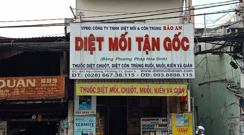 diệt mối Bình Dương