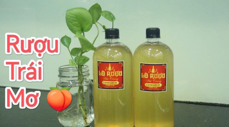 mua rượu mơ ở đâu TPHCM