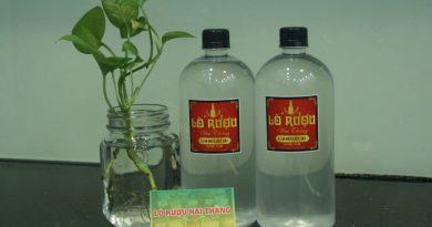 rượu nếp bao nhiêu độ