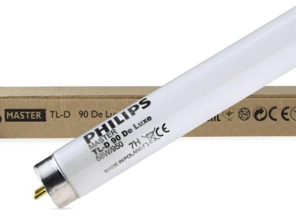 Bóng đèn soi màu D50