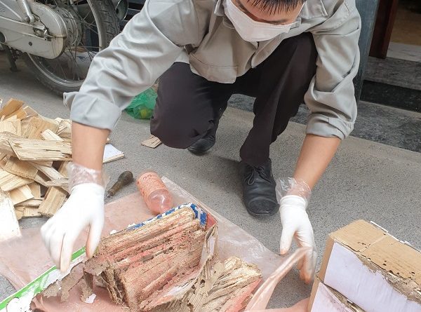 diệt mối phường Hiệp Bình