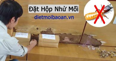 diệt mối phường Sài Gòn