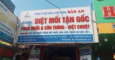 diệt mối phường Diên Hồng