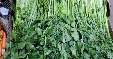 giá rau chợ đầu mối