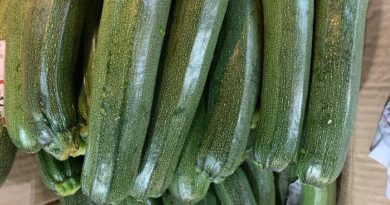 giá rau củ quả chợ đầu mối thủ đức hôm nay