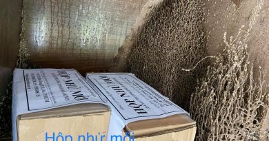 diệt mối phường Tân Tạo